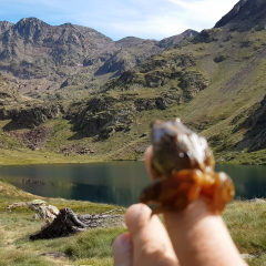 Vistes del Pic Verdaguer i la Pica des de l'estany d'Estats